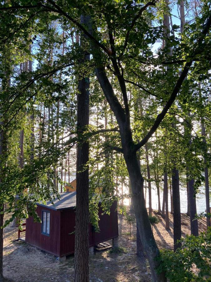 Instytut Wypoczynku - Domki Nad Jeziorem Mausz Sulęczyno Esterno foto