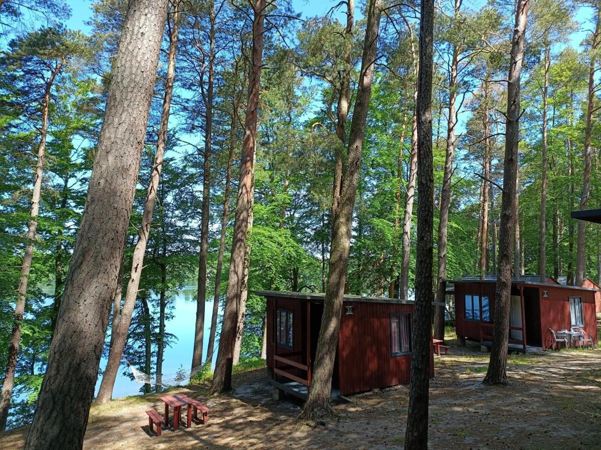 Instytut Wypoczynku - Domki Nad Jeziorem Mausz Sulęczyno Esterno foto